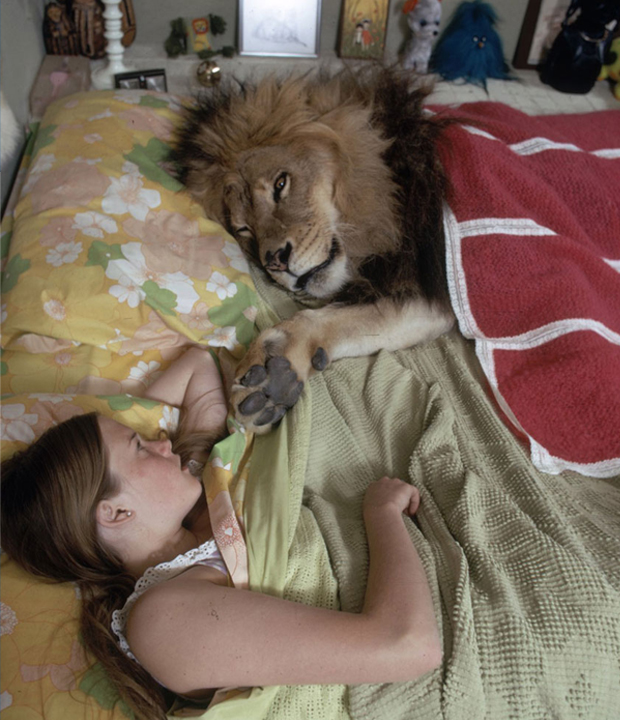 Meet the Griffith family which kept a lion as pet